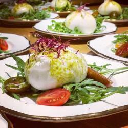 Burrata Cheese